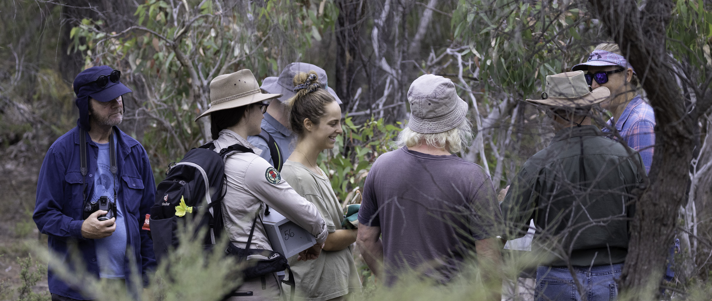 Installing pygmy possum boxes 2